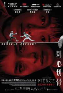 Прокол (фильм 2024)